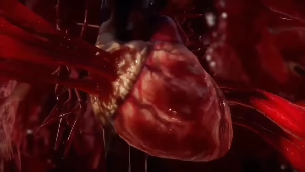 Mortal Kombat 11 Raiden