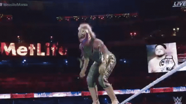 Samoa Joe Rey Mysterio Coquina Clutch