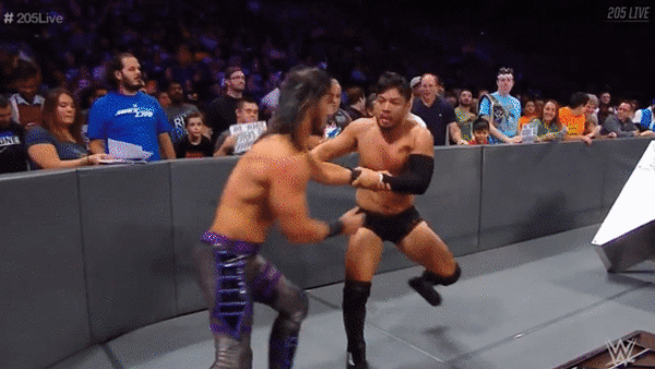 Ali Hideo Itami Diving Tornado DDT