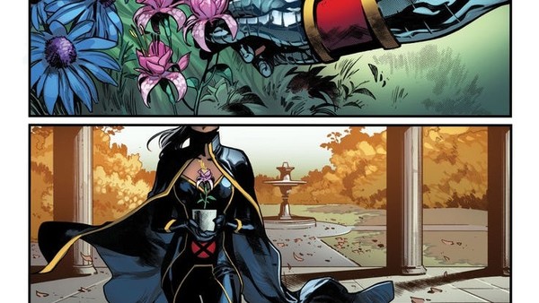 Invisible Woman Adam Hughes