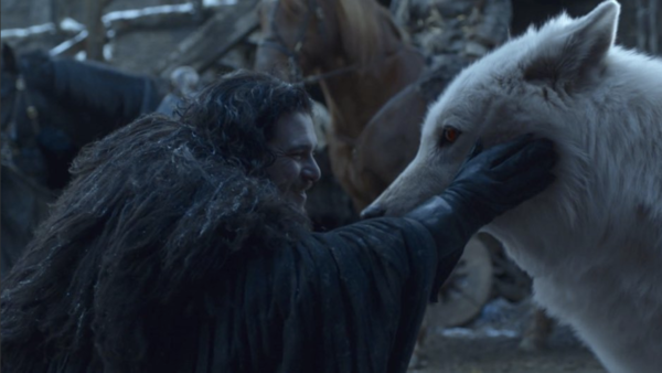 Game Of Thrones Jon Ghost