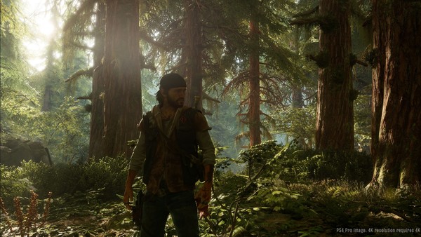 Days gone 