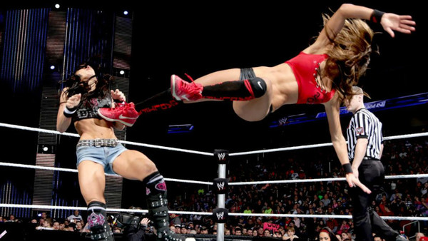 AJ Lee Nikki Bella