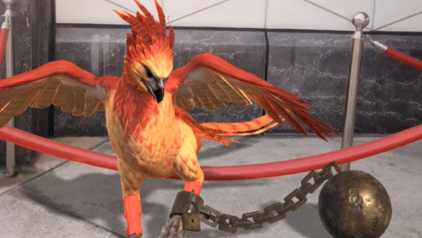 Wizards Unite Phoenix