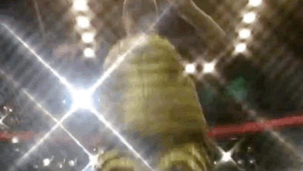 Married With Children