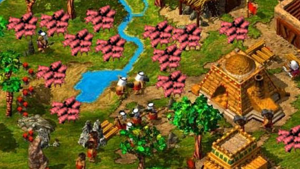 The Settlers III pigs