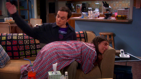 sheldon and amy