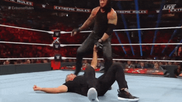 The Undertaker Shane McMahon