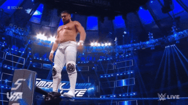 Andrade The Miz