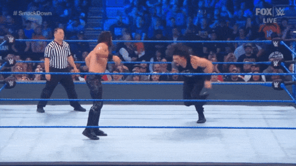 Seth Rollins Roman Reigns 