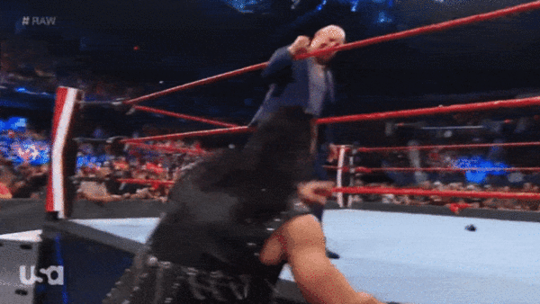 Ric Flair Drew McIntyre