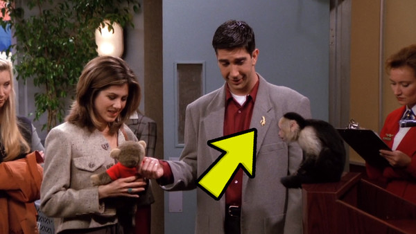 Friends Ross Rachel