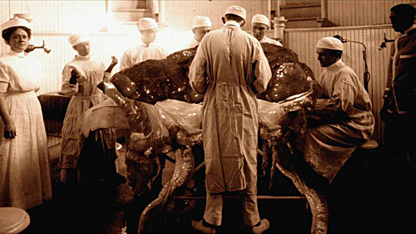 War of the Worlds The True Story
