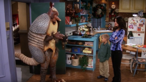 Friends Holiday Armadillo 