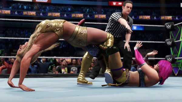 WWE 2K20 Hair