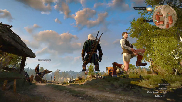 the witcher 3