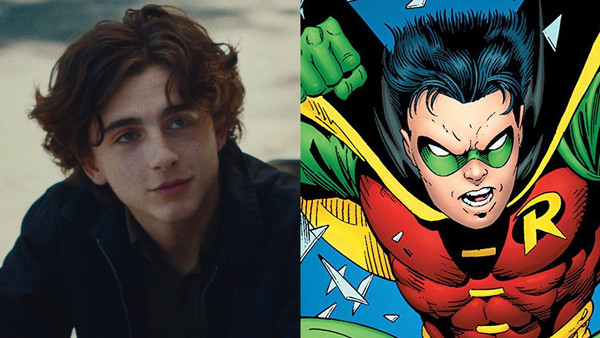 Timothee Chalamet Robin