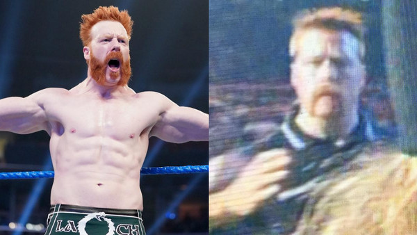 Sheamus Security 