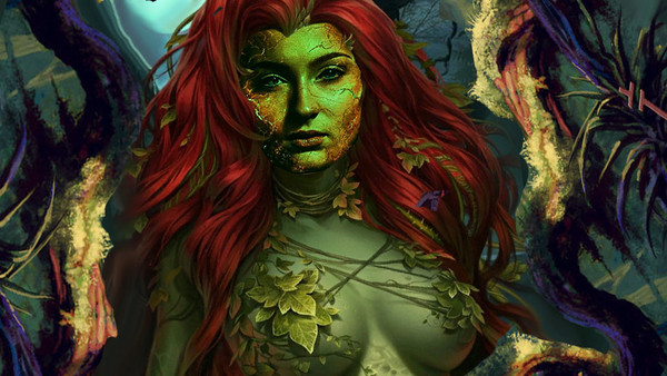 Community Dungeons Dragons