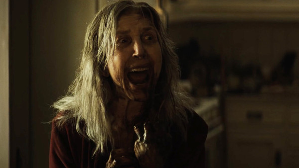 The Grudge Lin Shaye