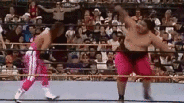 Charlotte Spanish Fly