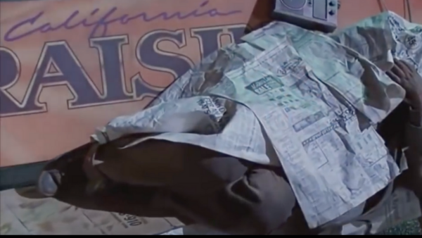 Back to the Future Raisins