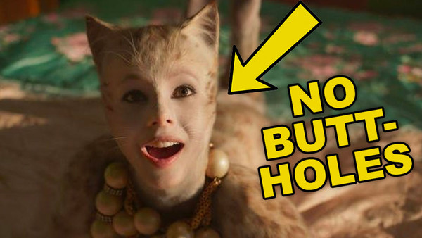 Cats Buttholes