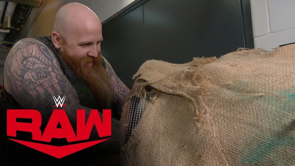 Erick Rowan cage