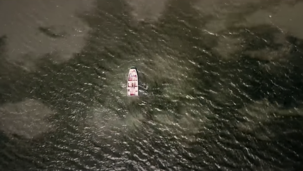 Dr. Arthur Friedkin (Grave Encounters)