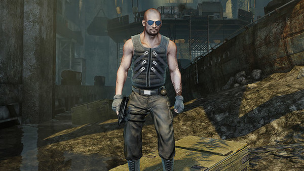 zelda breath of the wild hestu