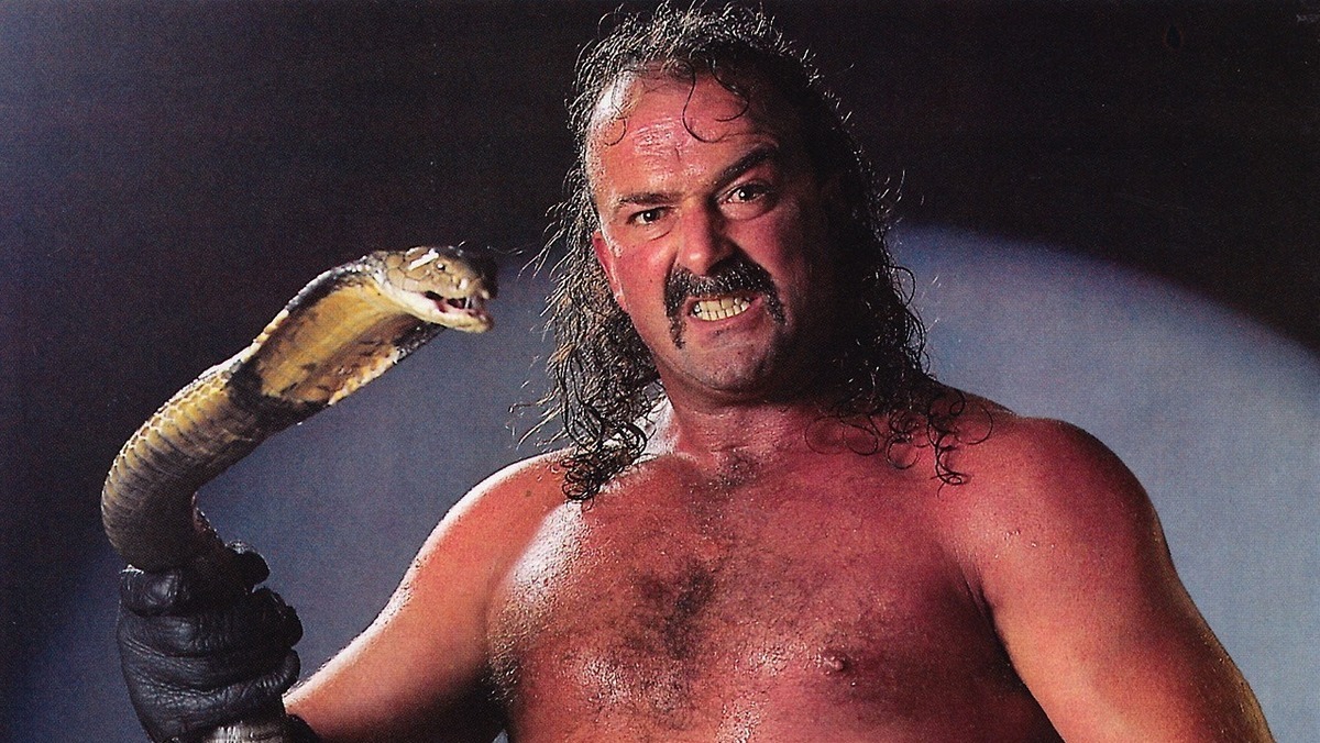 Jake Roberts WCW