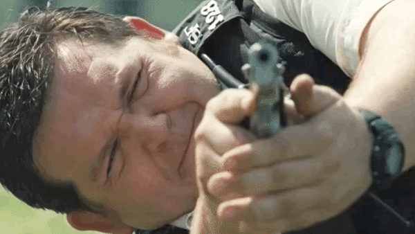 Hot Fuzz Gun In The Air