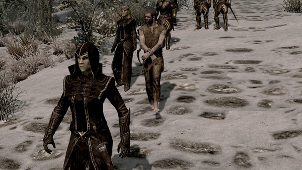 Elder Scrolls Skyrim Thalmor