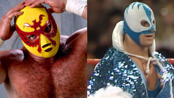 Who Blue Blazer Jim Neidhart Owen Hart