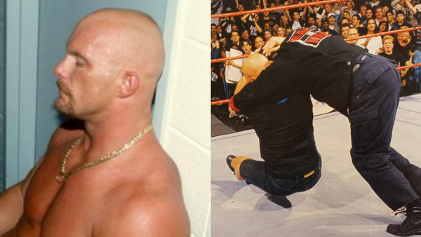 Steve Austin Owen Hart Vince McMahon