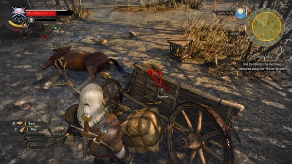 the witcher 3
