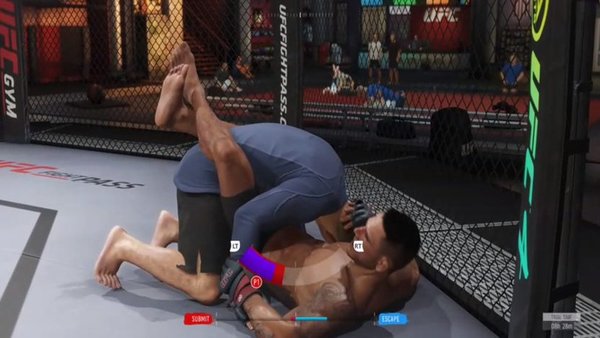 UFC 4