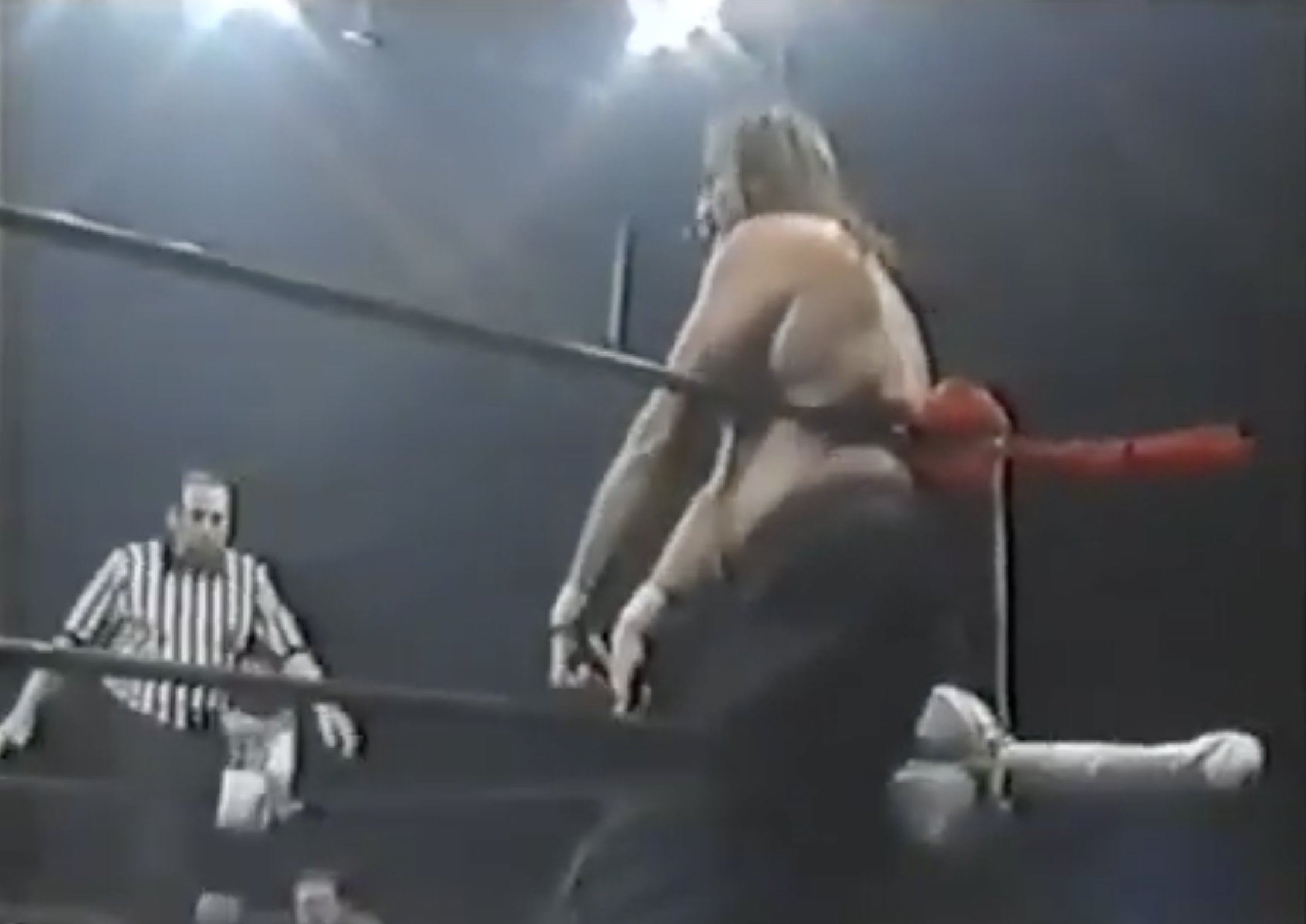 Jake Roberts