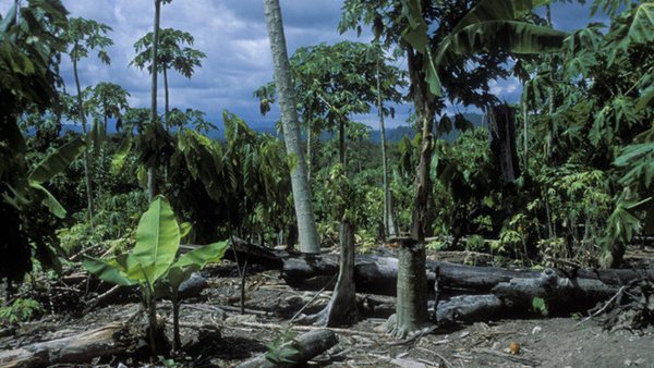 David Attenborough Life on our Planet