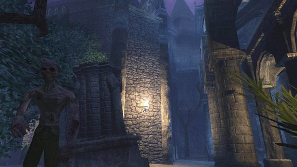 Thief Shalebridge Cradle
