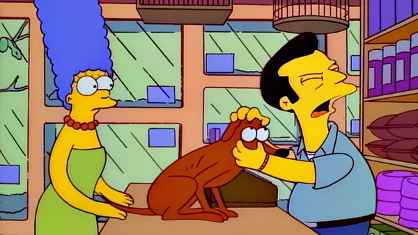 The Simpsons Homer Gorn