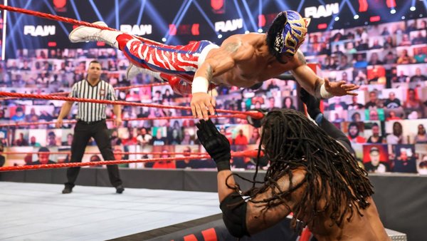 Lince Dorado MACE