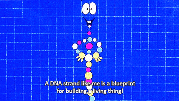Mr DNA Jurassic Park