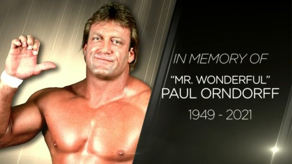 Paul Orndorff WWE