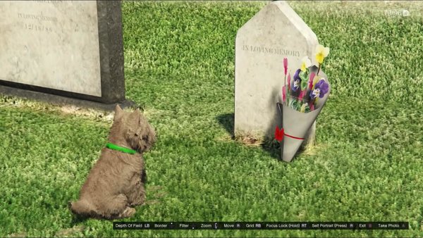gta 5 dog