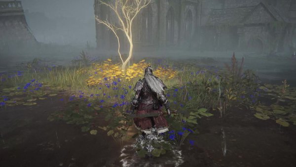 elden ring weather