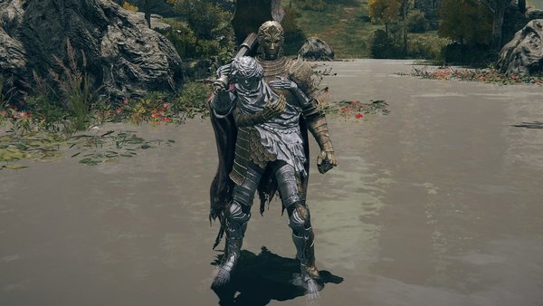 elden ring twinned armor