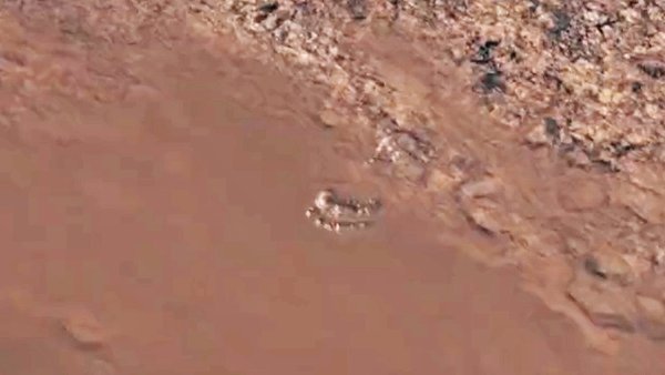 elden ring footsteps