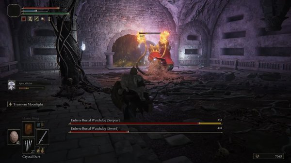 elden ring erdtree burial warden