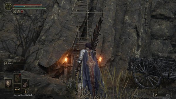 elden ring ladder